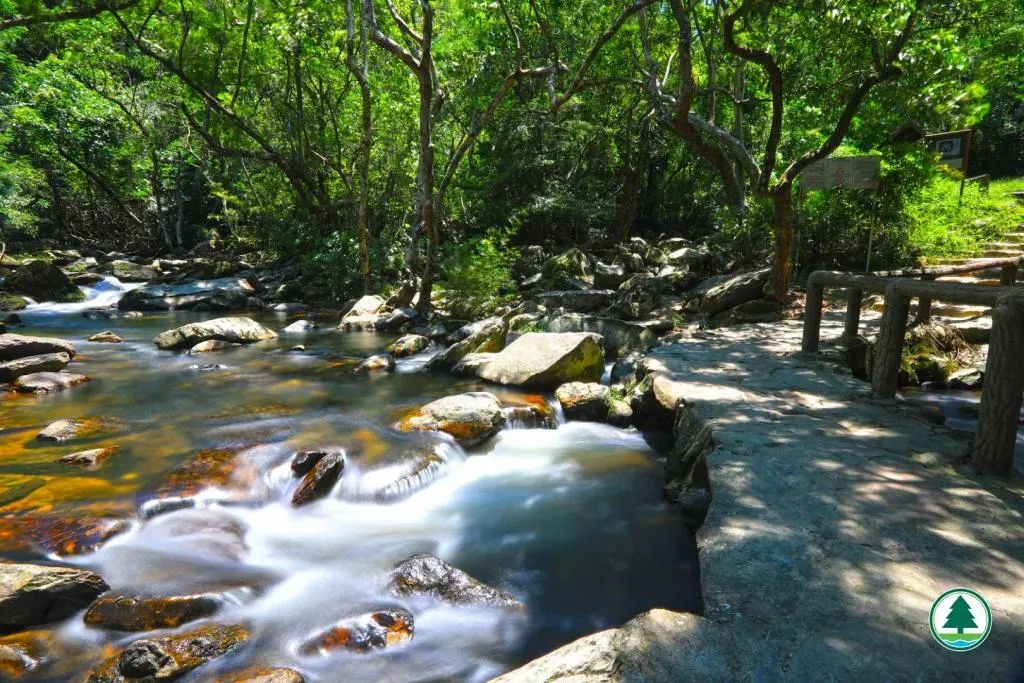 圖片來源：U Lifestyle