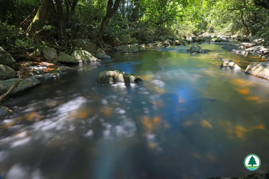 圖片來源：U Lifestyle