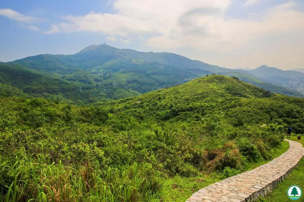 圖片來源：U Lifestyle