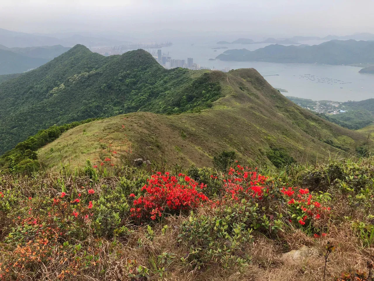紅花嶺郊野公園