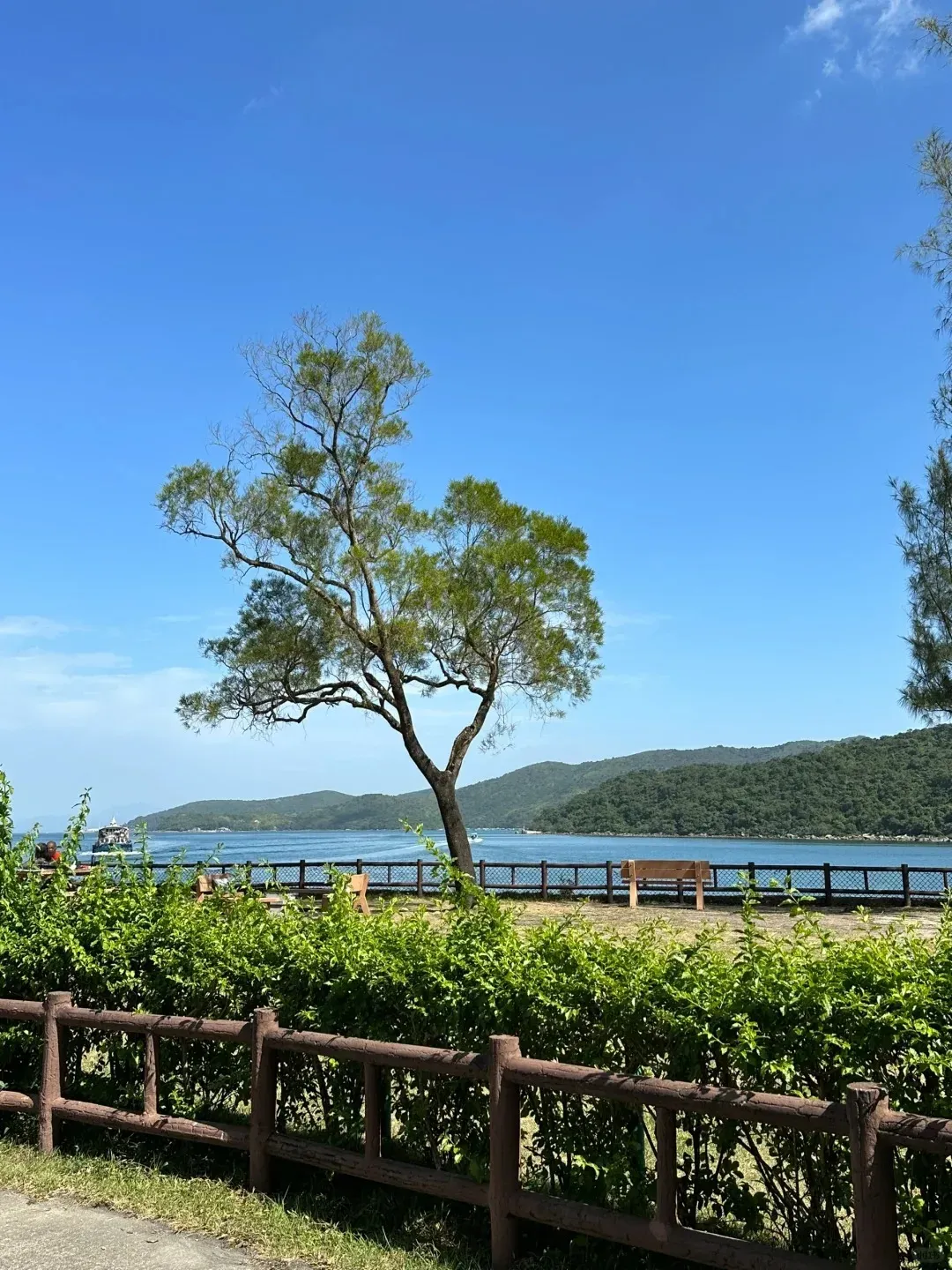 圖片來源：U Lifestyle