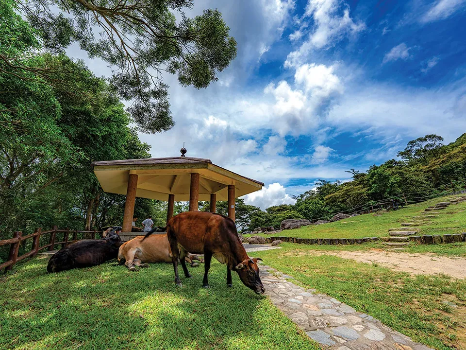 圖片來源：香港旅遊發展局