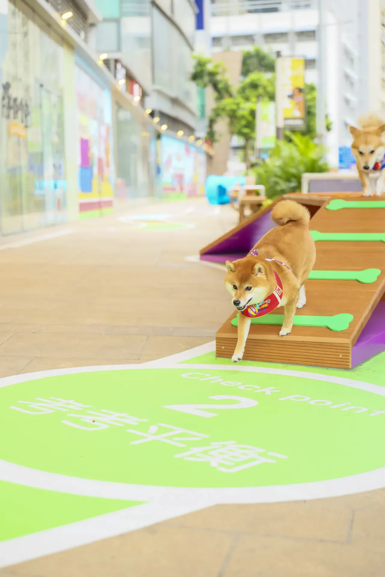 圖片來源：U Lifestyle