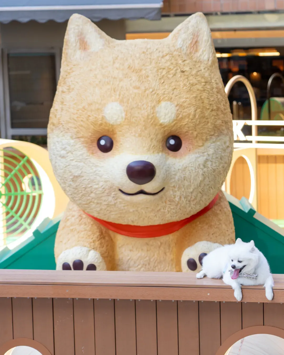 新城市廣場 Pets Park 寵物同樂園