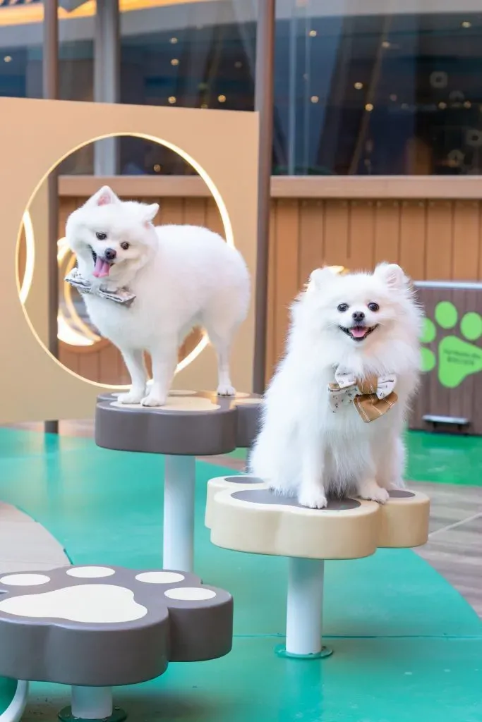 圖片來源：官方網站