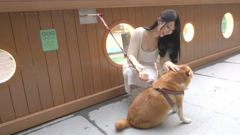 圖片來源：官方網站