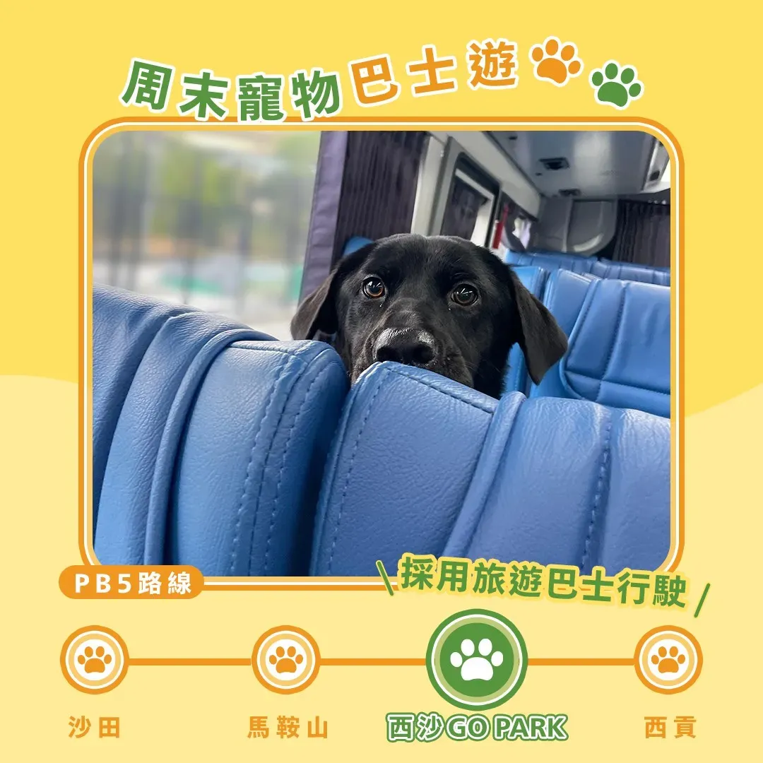 圖片來源：FB@GO PARK Sai Sha 西沙GO PARK圖片來源：FB@GO PARK Sai Sha 西沙GO PARK