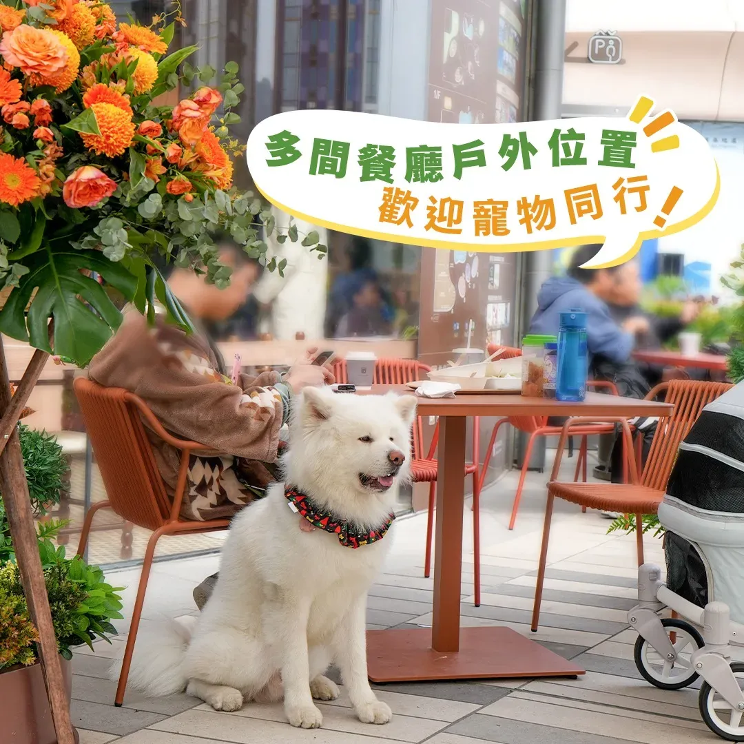 圖片來源：FB@GO PARK Sai Sha 西沙GO PARK