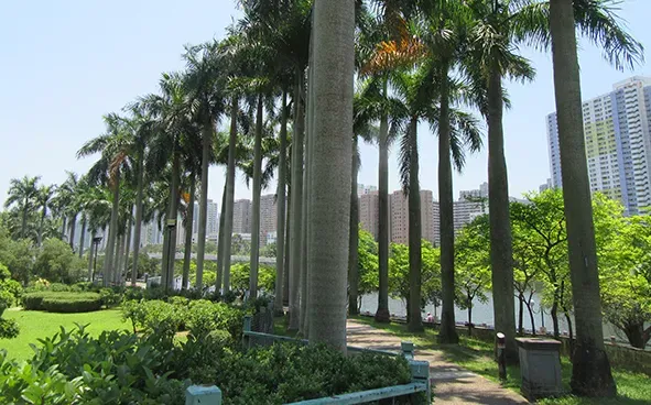 圖片來源：官方網站