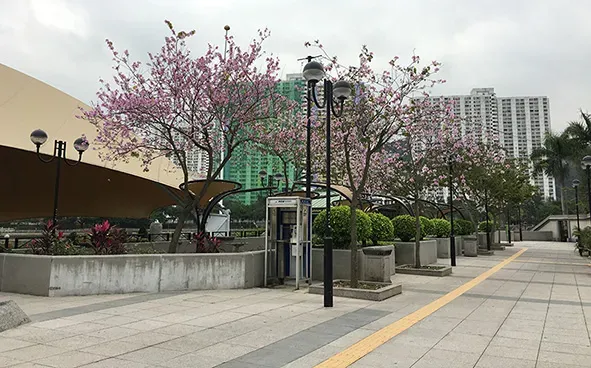 圖片來源：官方網站