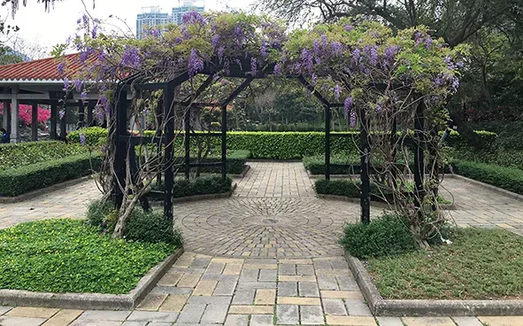 圖片來源：官方網站