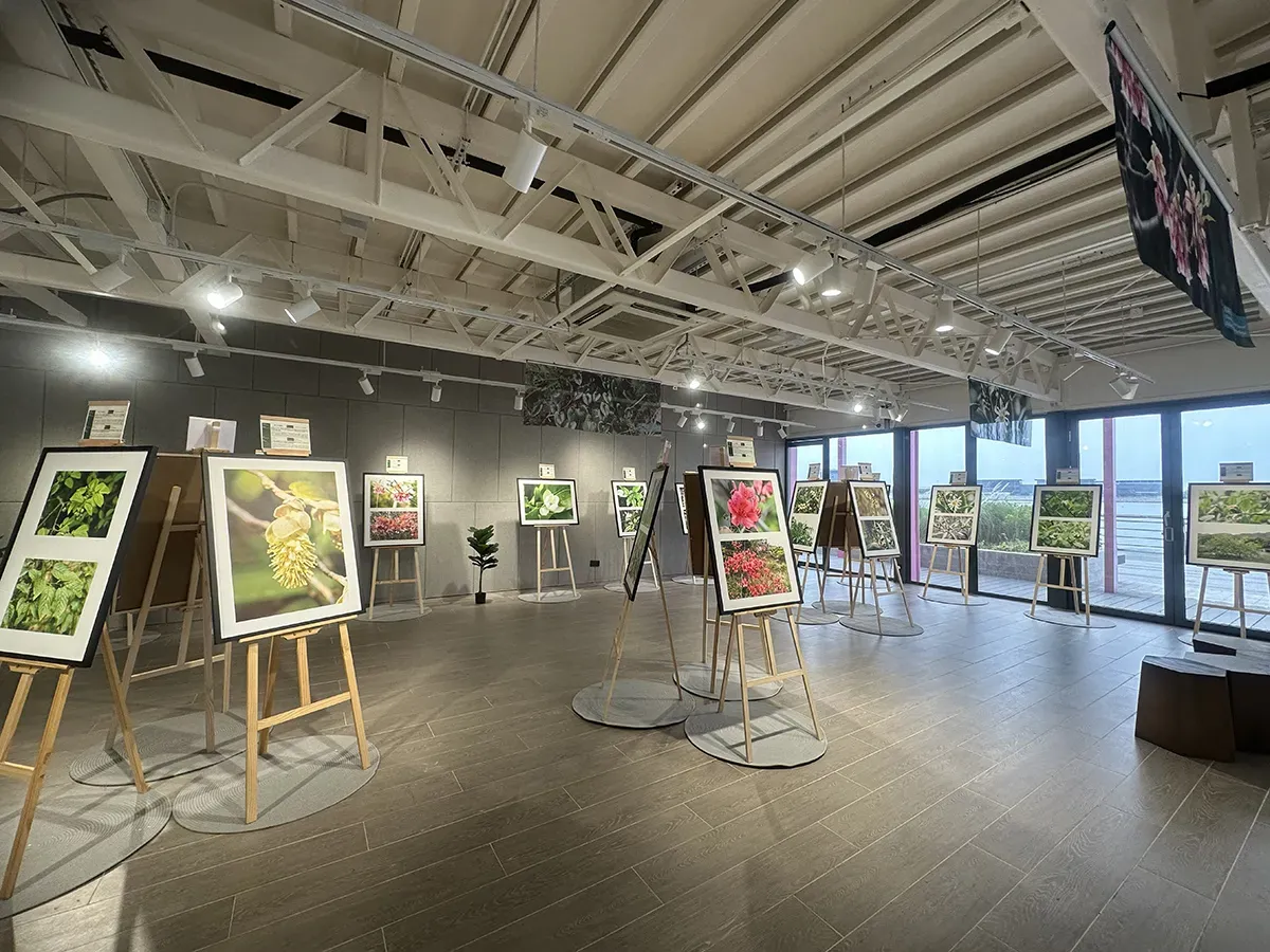 圖片來源：官方網站