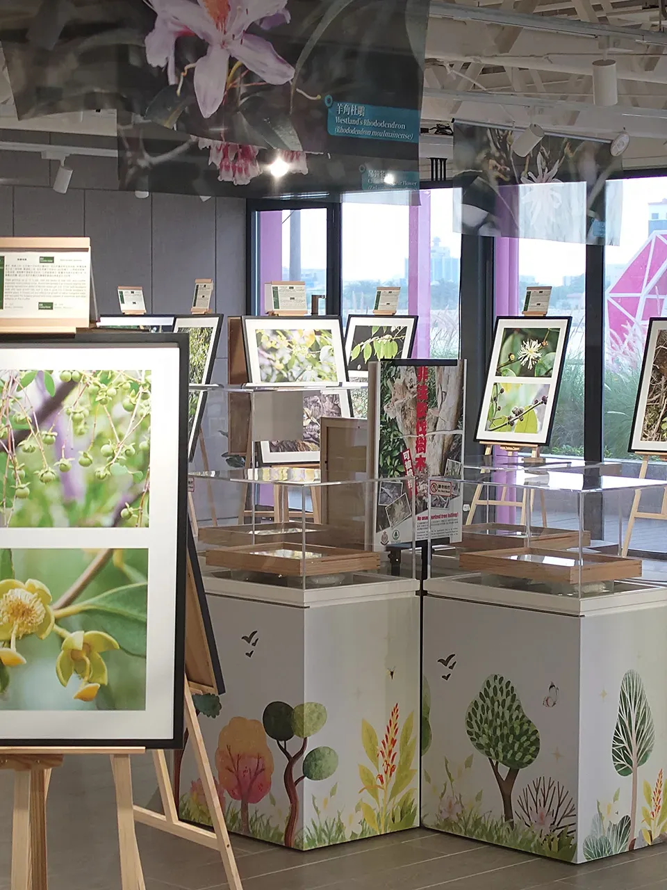 圖片來源：官方網站