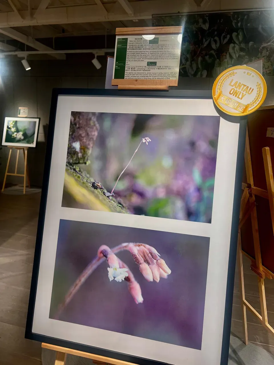 圖片來源：官方網站