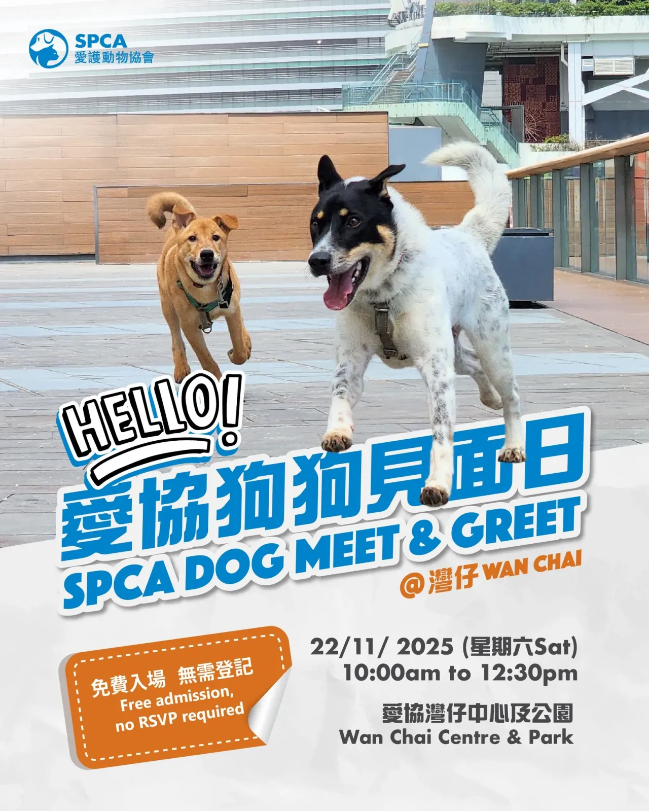 圖片來源：FB@SPCA (HK) 香港愛護動物協會