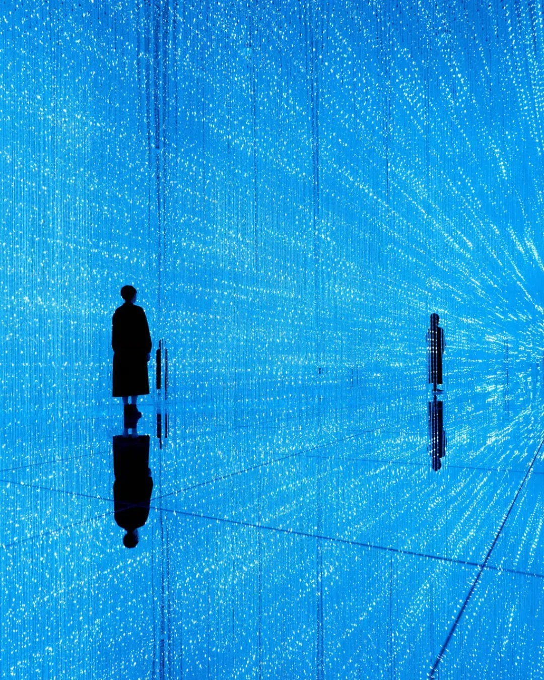 澳門 teamLab 超自然空間