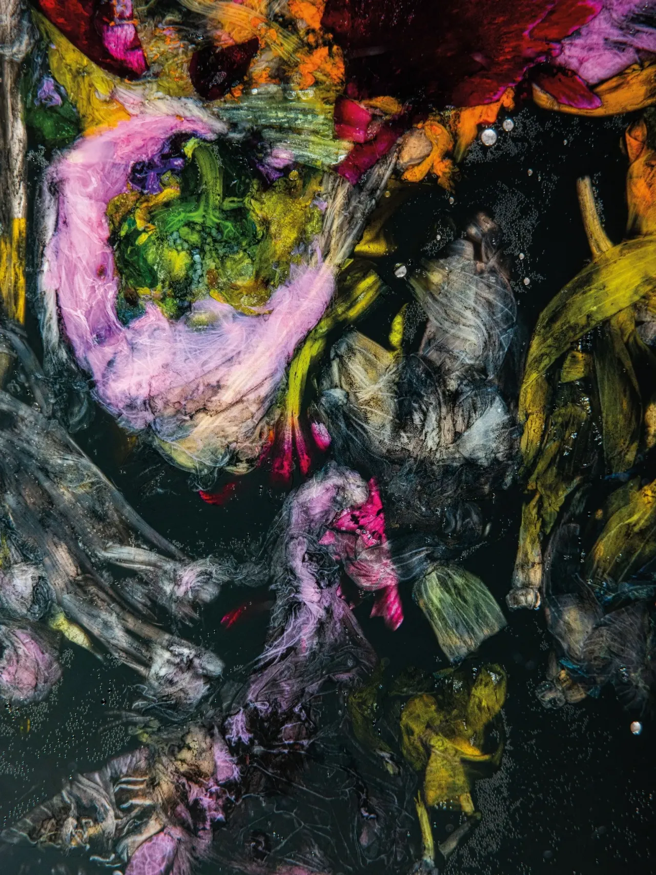 facebook@禮樂Rite&Vibe