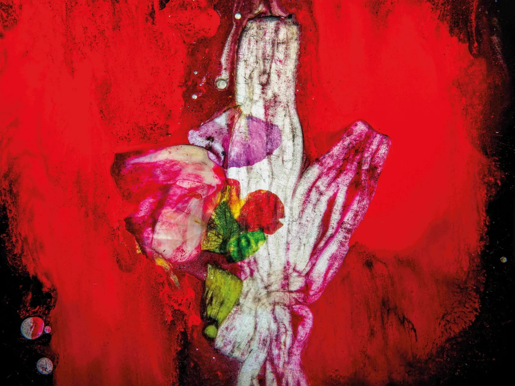 facebook@禮樂Rite&Vibe