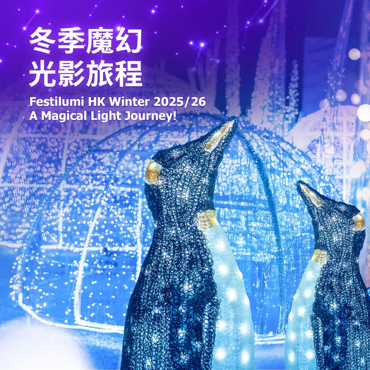 圖片來源：官方圖片