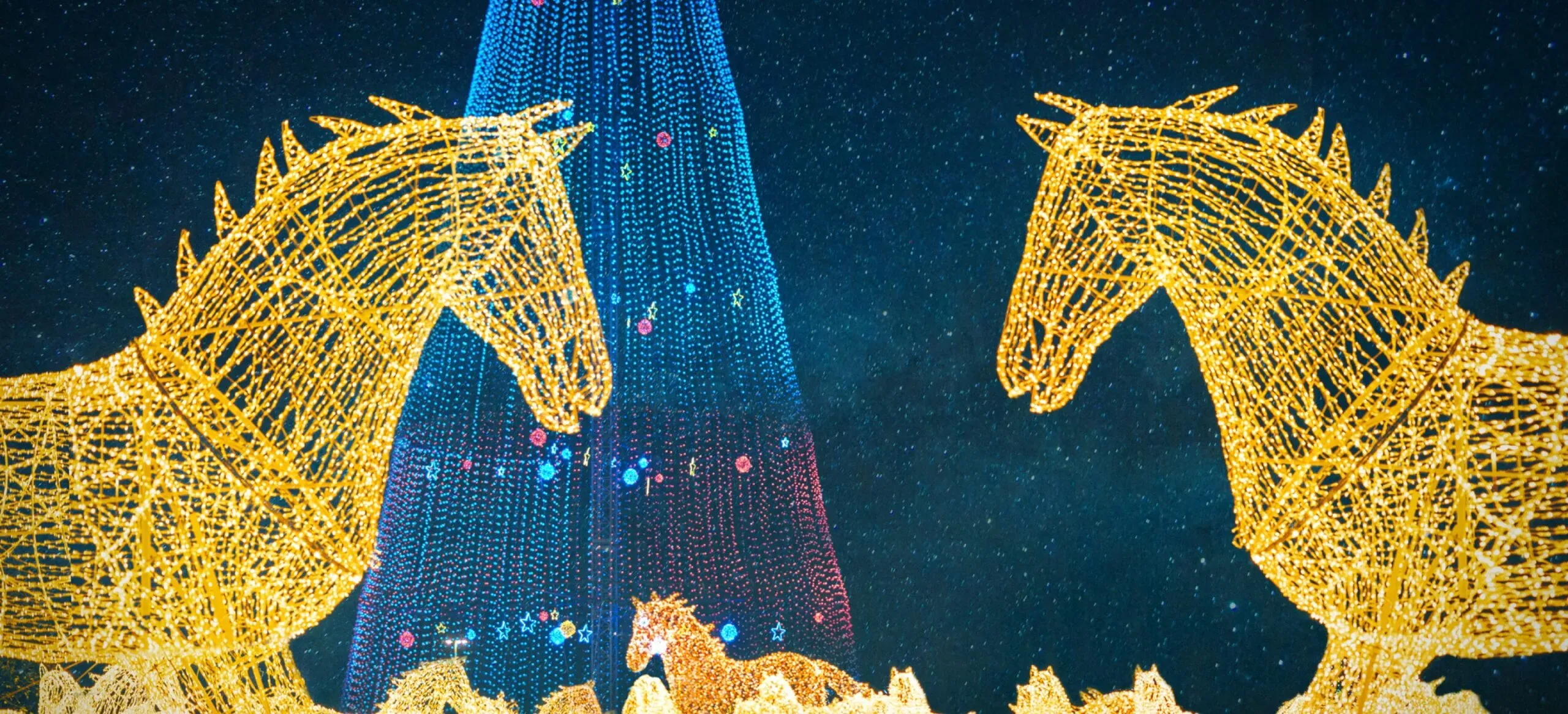 圖片來源：官方圖片