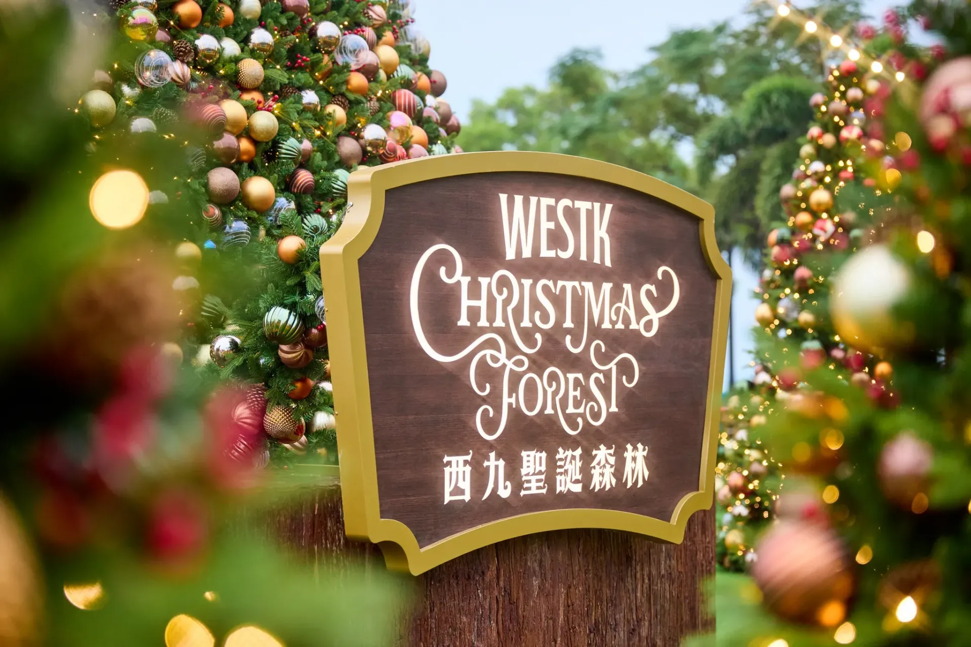 圖片來源：FB@WestK 西九文化區