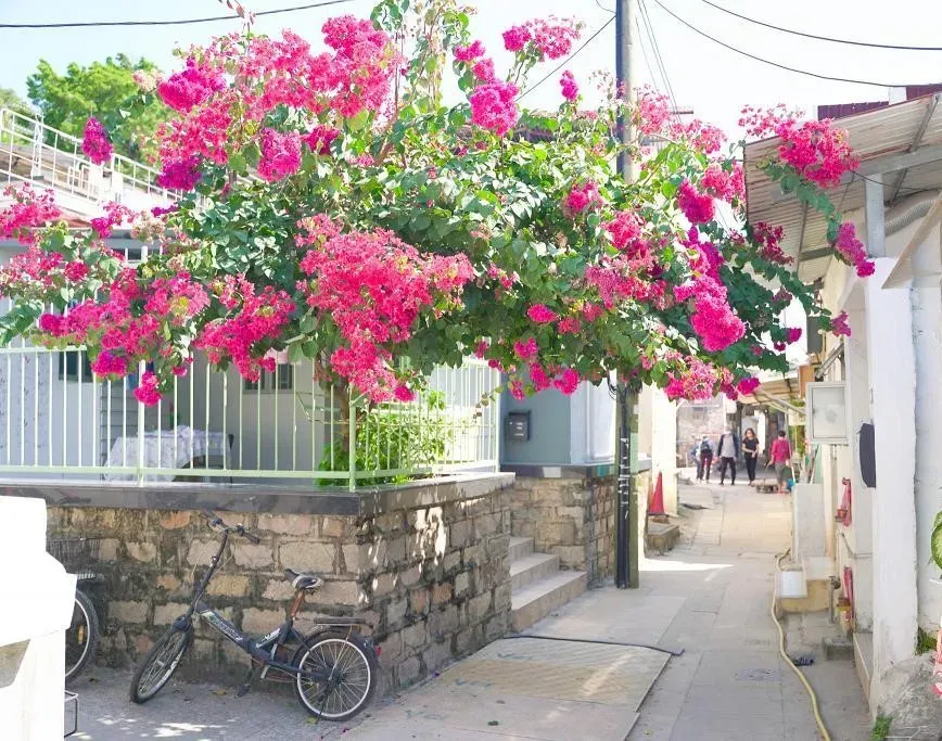 圖片來源：U Lifestyle