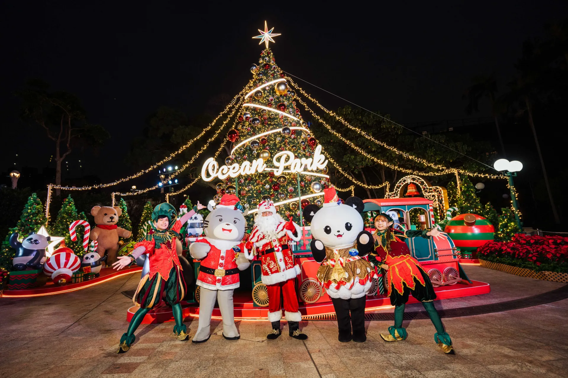 圖片來源：官方圖片