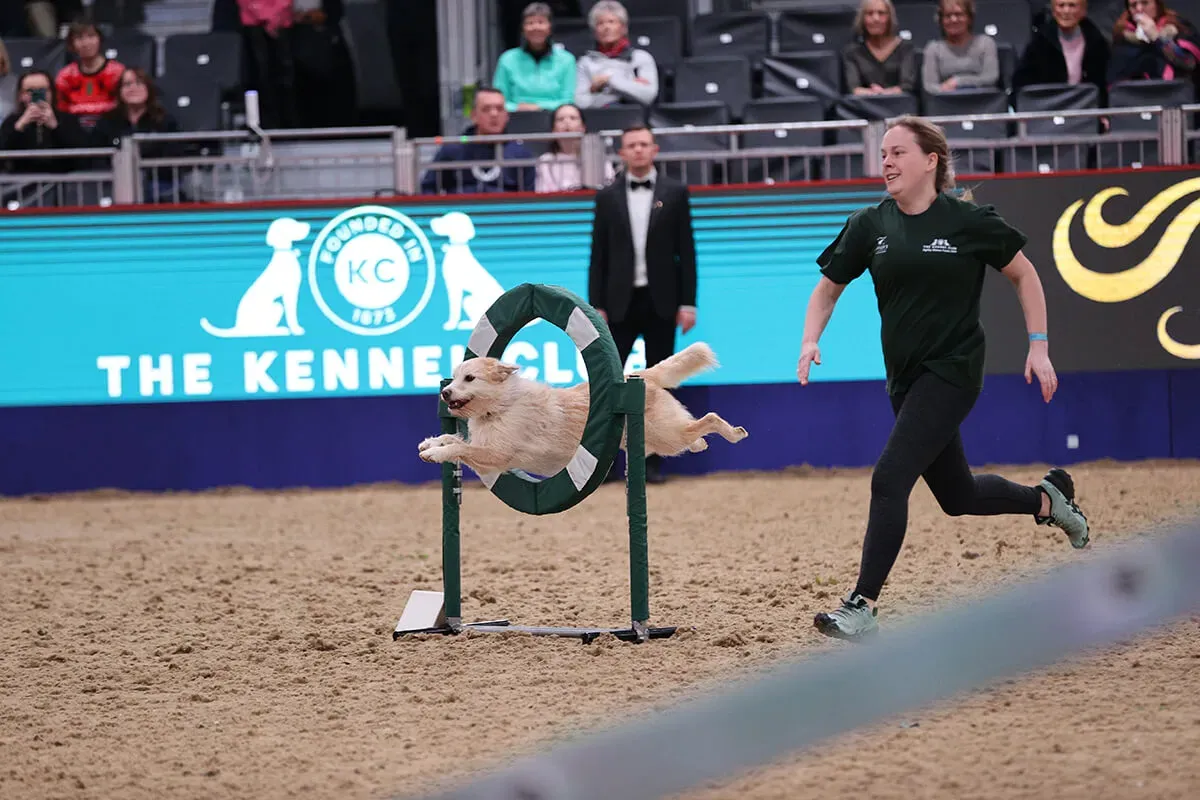 圖片來源：官方圖片