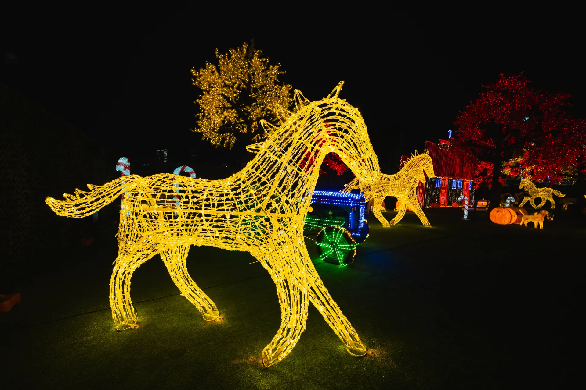 圖片來源：官方圖片