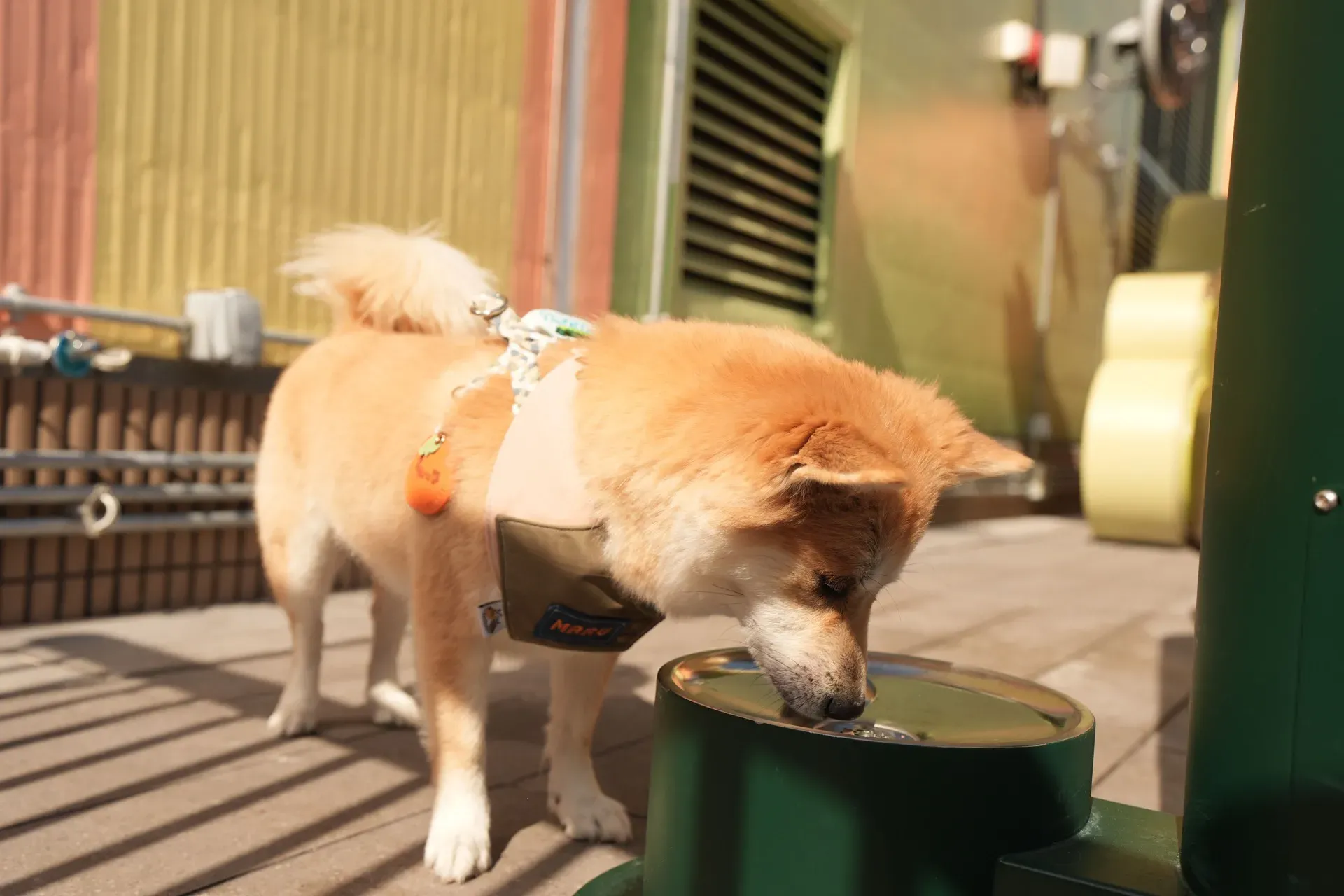 圖片來源：官方網站、U Lifestyle