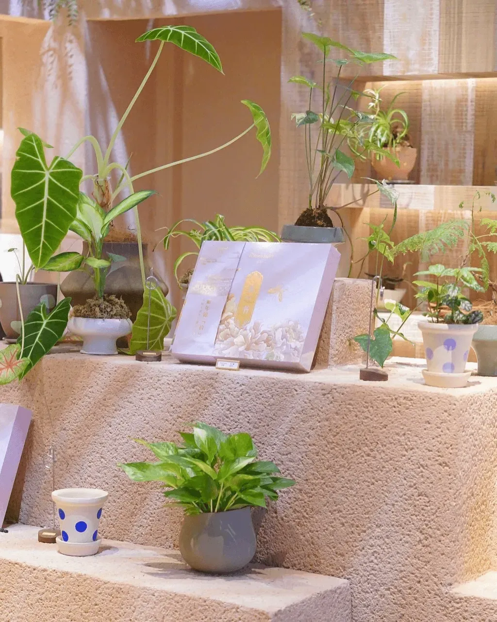 圖片來源：U Community