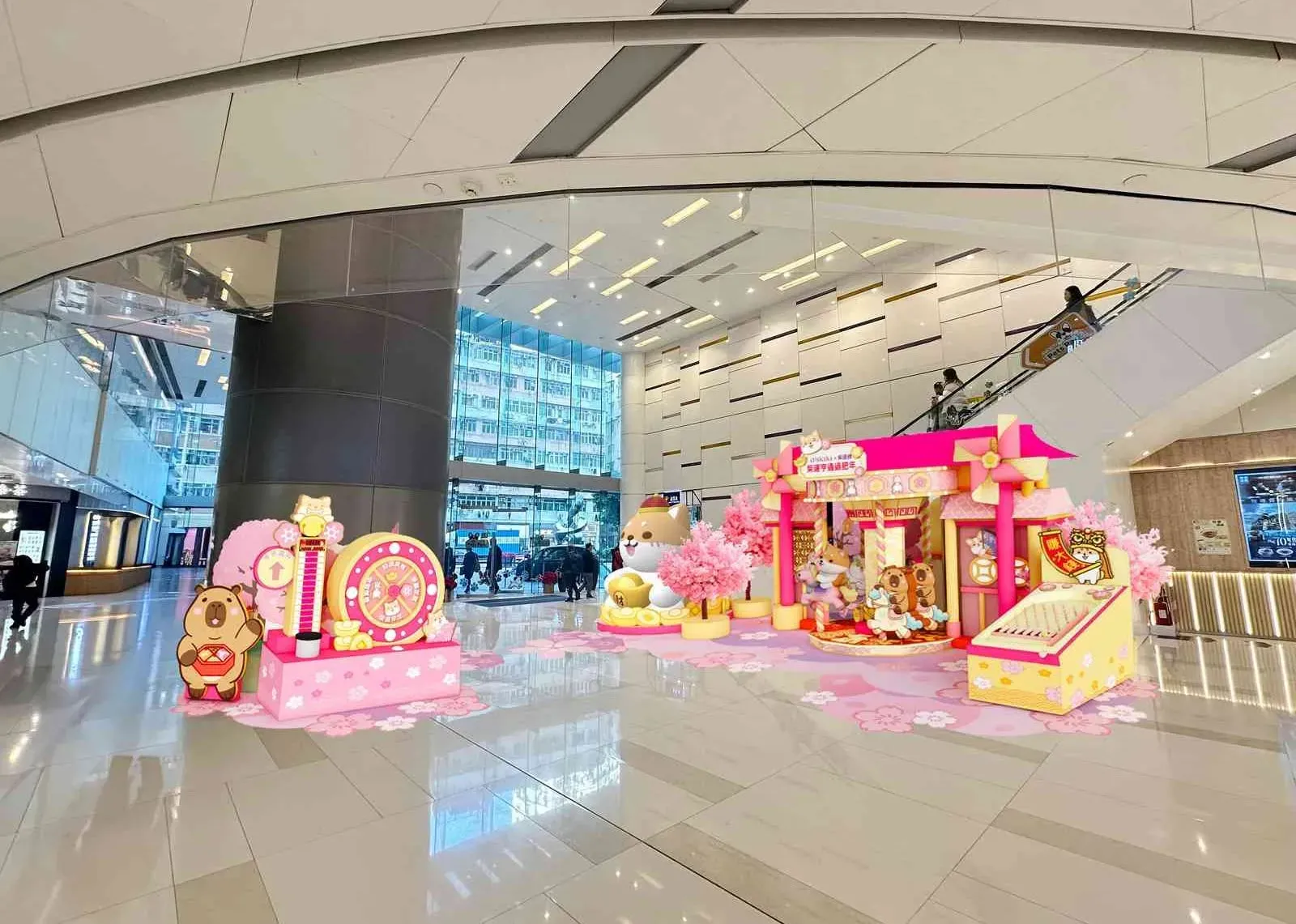 圖片來源：IG@shibasays