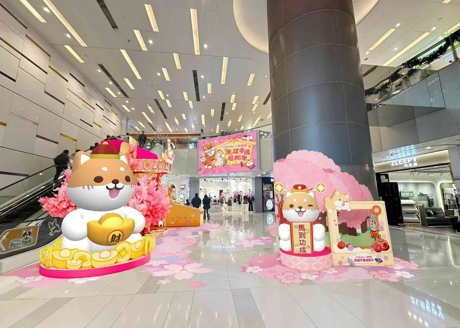 圖片來源：IG@shibasays