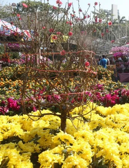 大埔天后宮風水廣場年宵市場2026