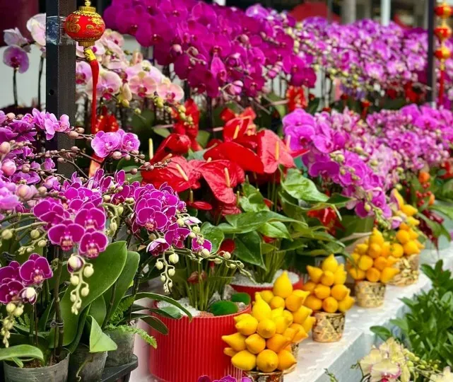 荃灣沙咀道遊樂場年宵市場2026