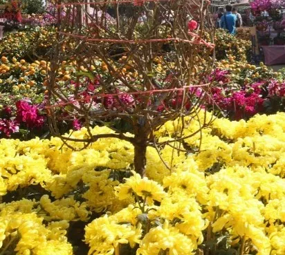 北區石湖墟遊樂場年宵市場2026