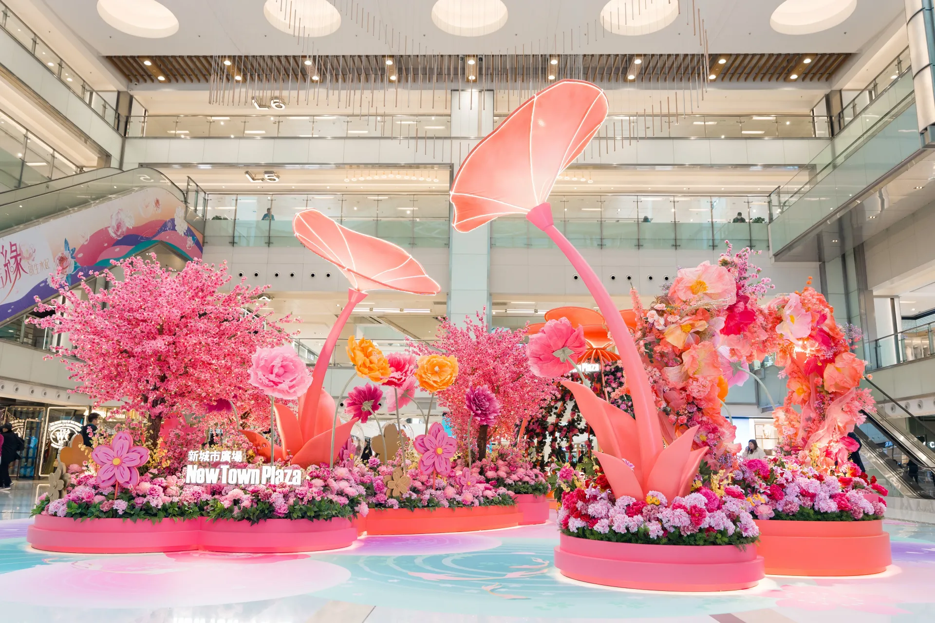 圖片來源：官方圖片