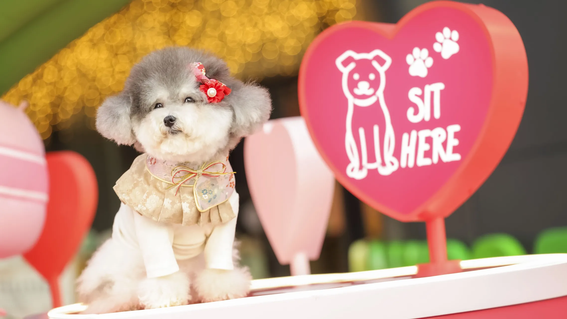 圖片來源：官方網站、U Lifestyle