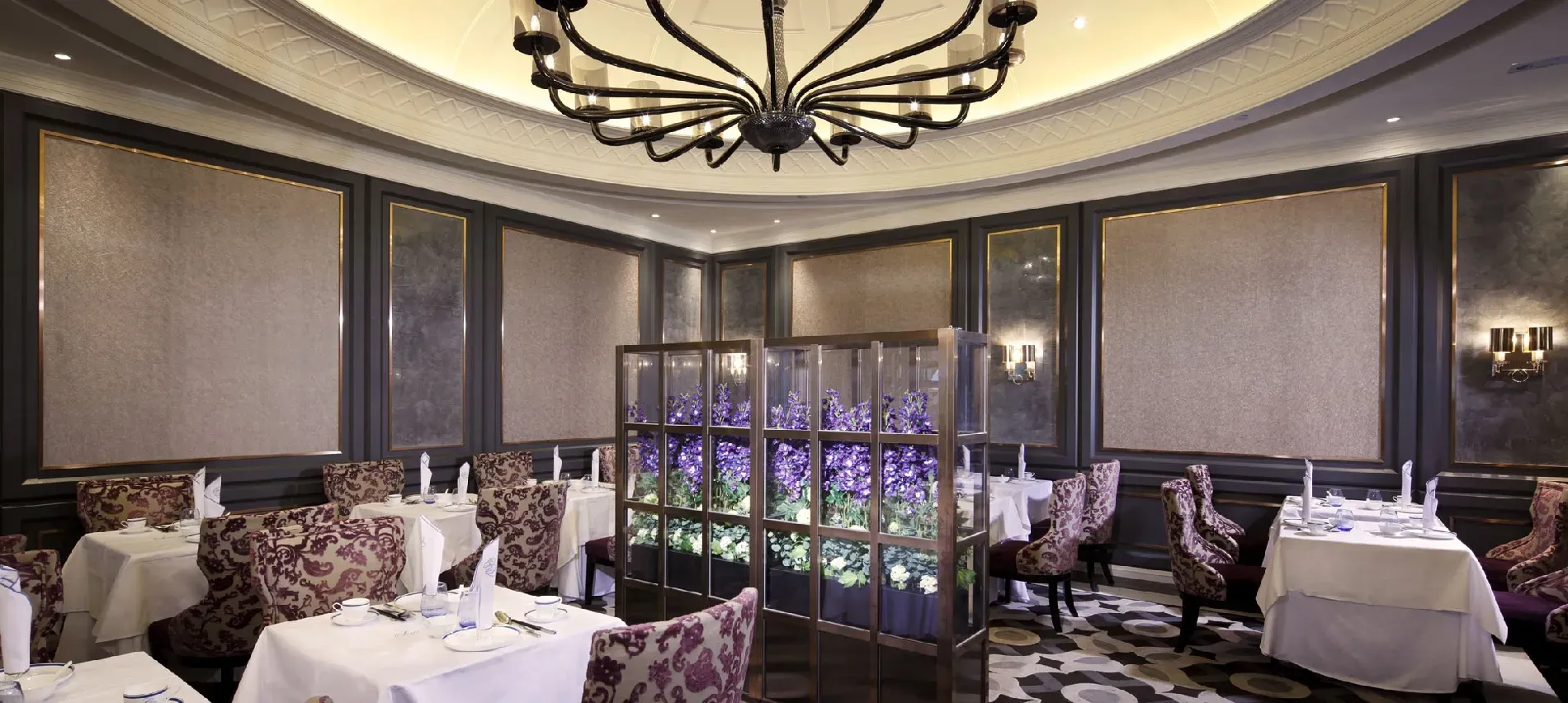 圖片來源：官方網站