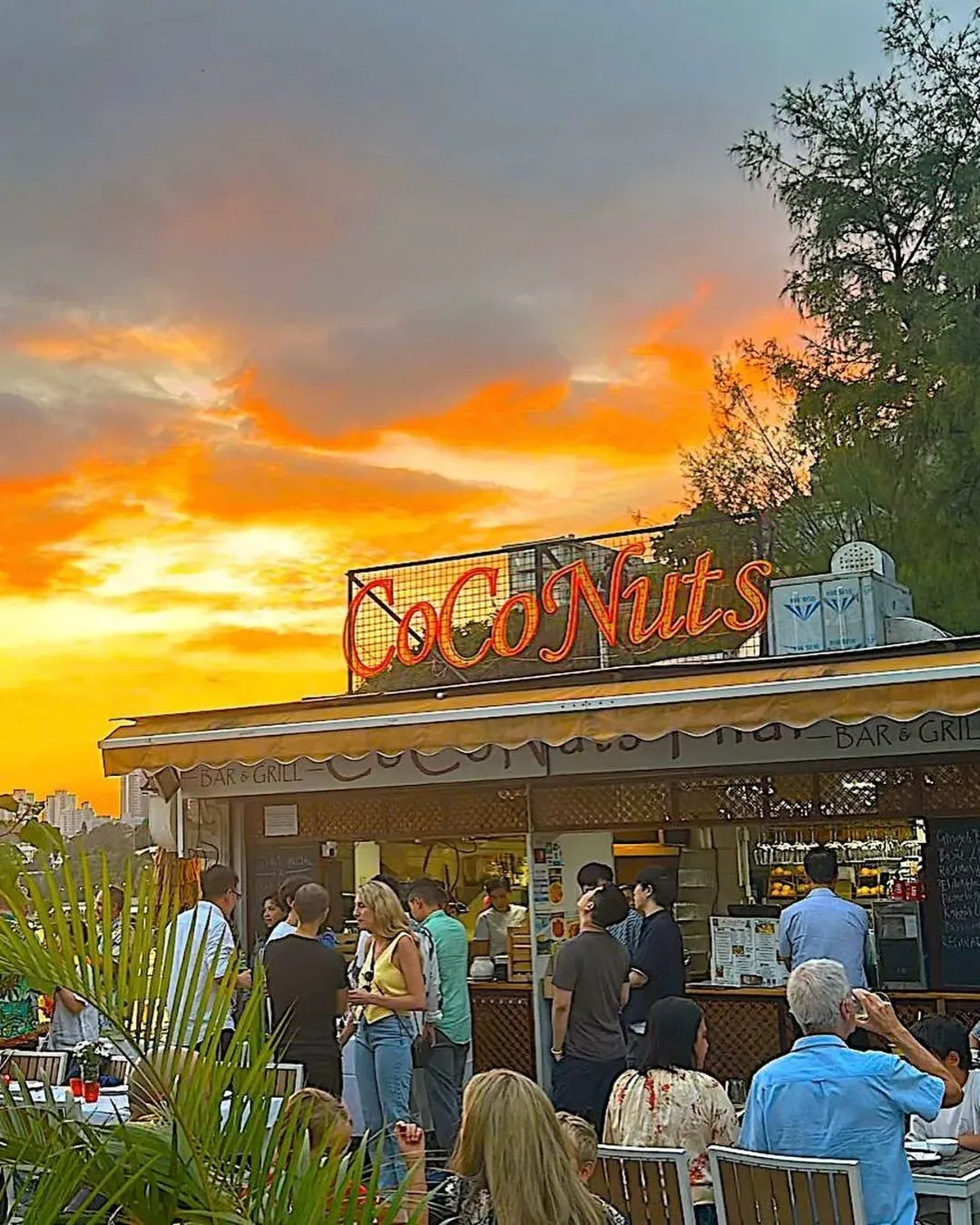 CoCoNuts Thai Bar & Grill