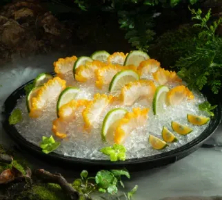 圖片來源：官方圖片