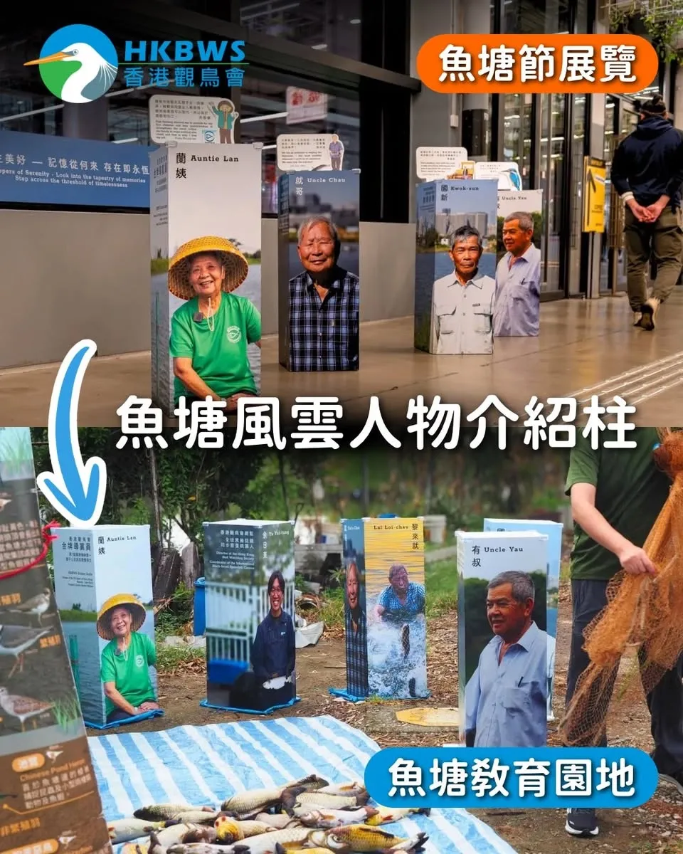 圖片來源：官方網站、U Lifestyle