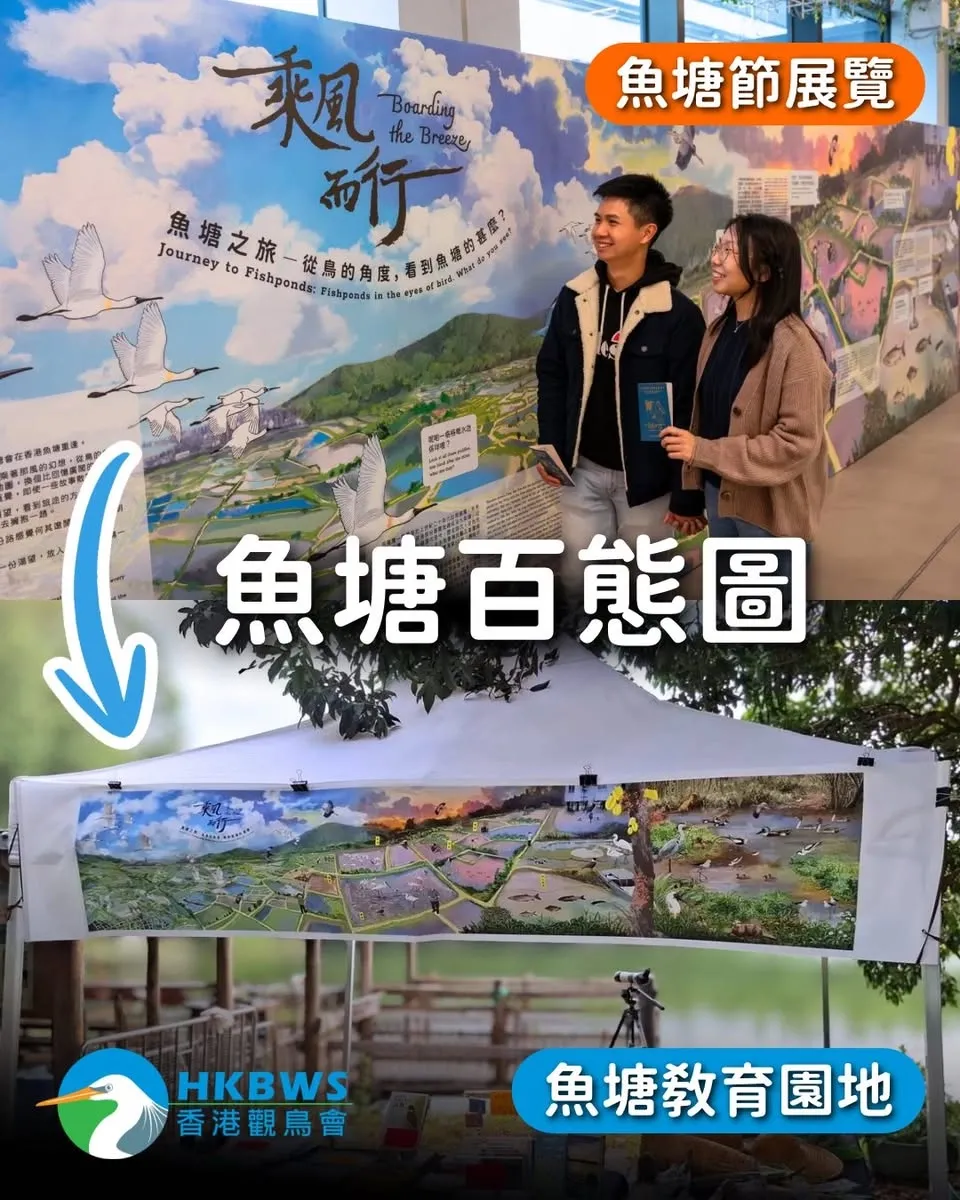 圖片來源：官方網站、U Lifestyle