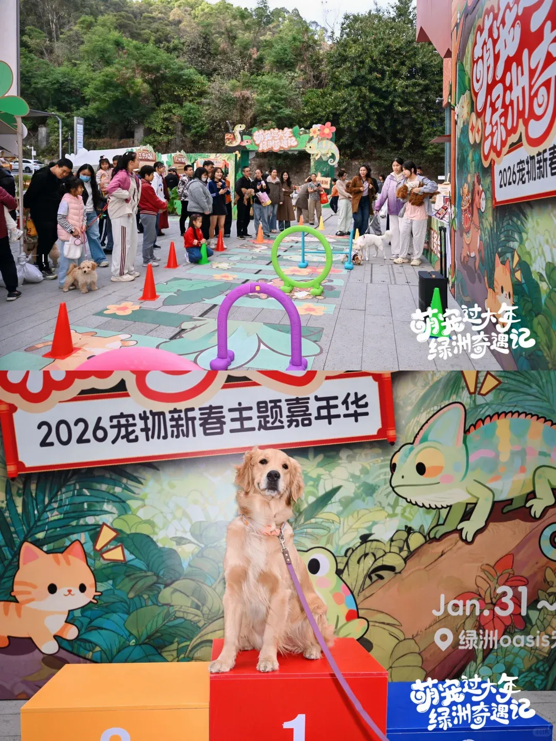 圖片來源：官方網站、U Lifestyle