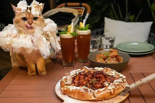 圖片來源：IG@pizzamaruhk