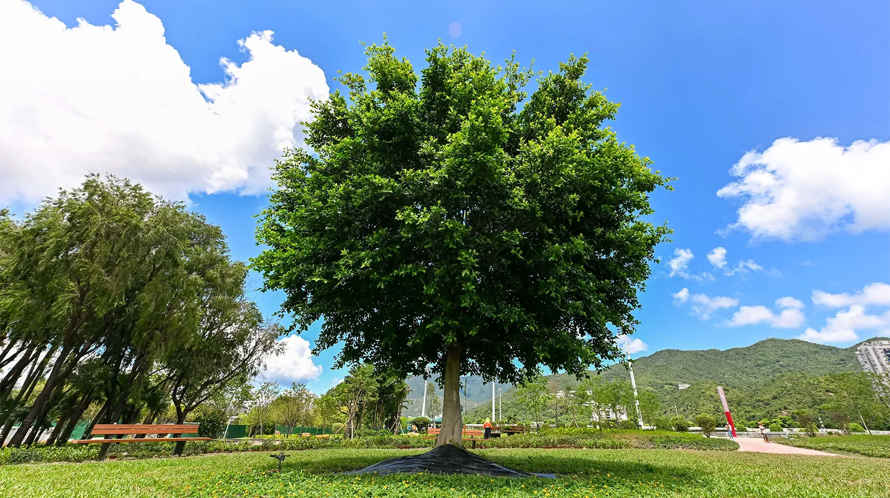 圖片來源：官方網站、U Lifestyle