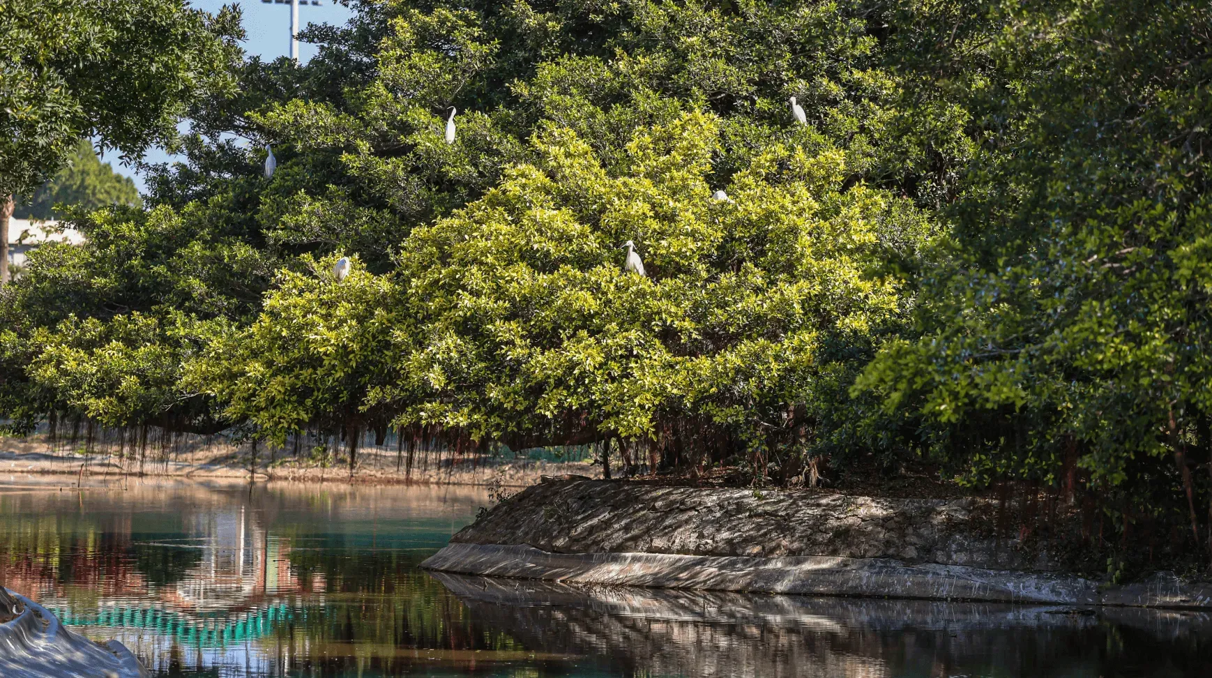 圖片來源：官方網站、U Lifestyle