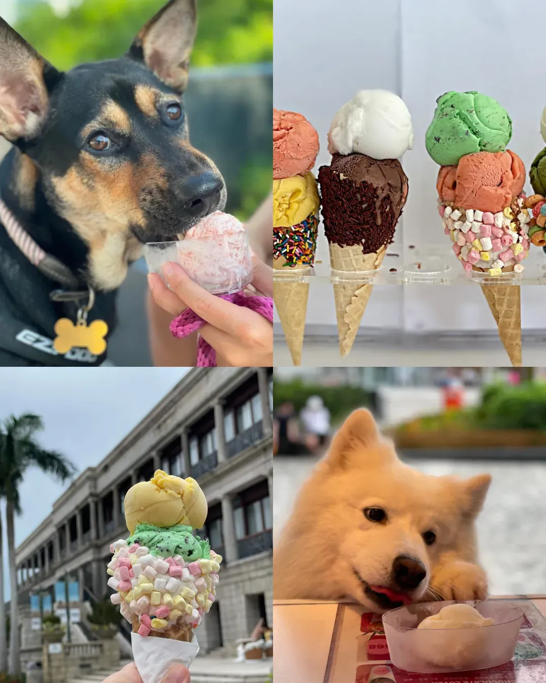 Gino's Gelato (Stanley Plaza)