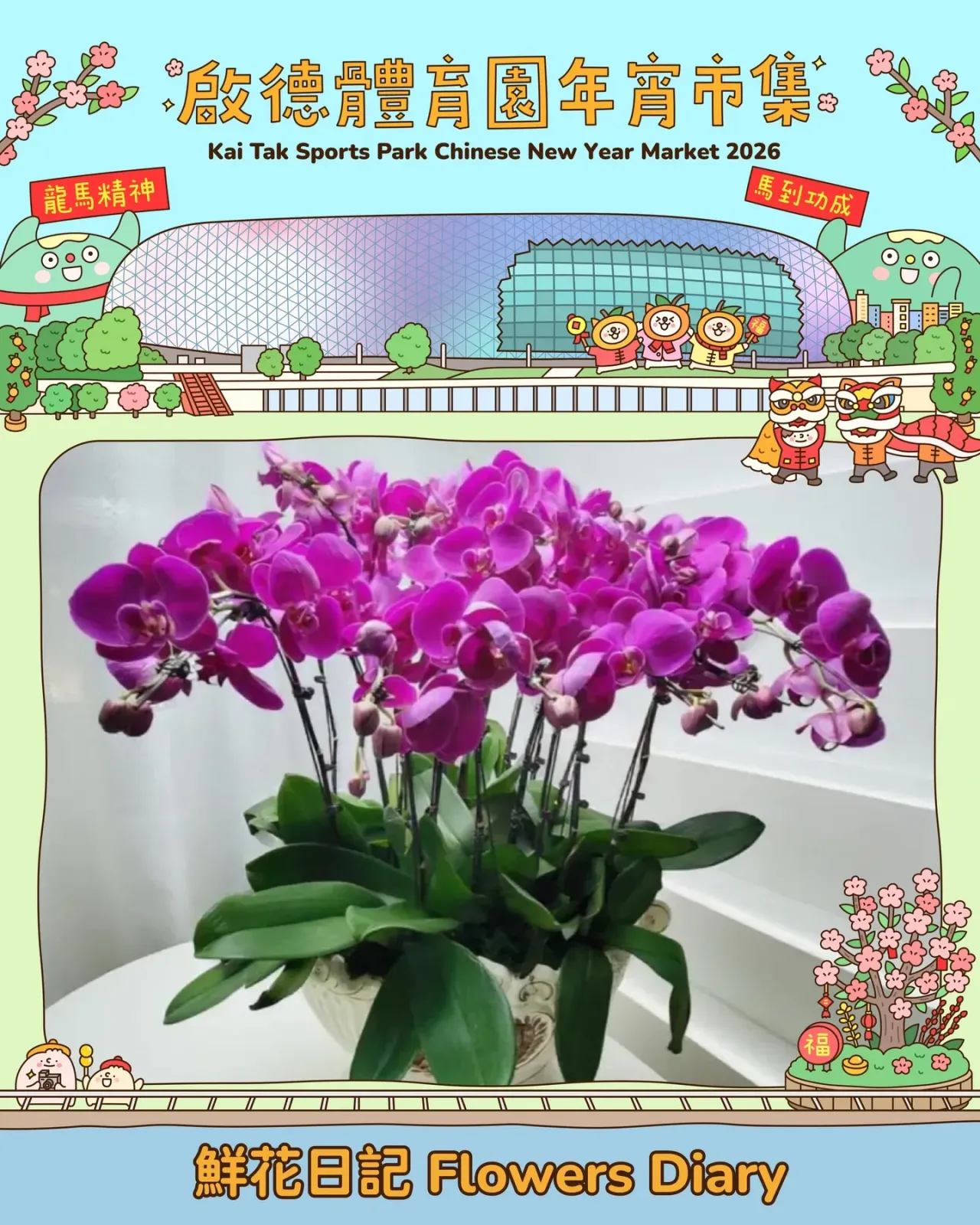 圖片來源：官方網站、U Lifestyle