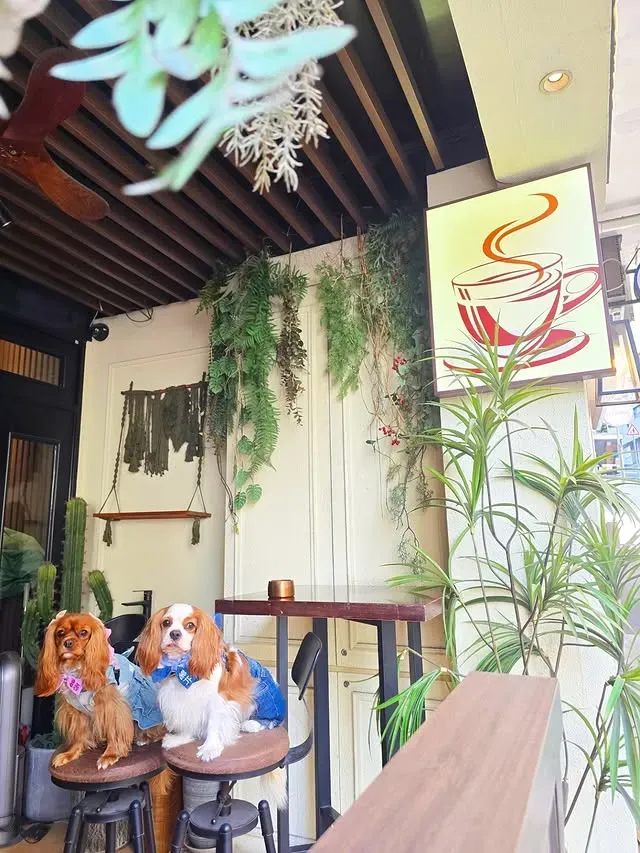 圖片來源：IG@cactus_852